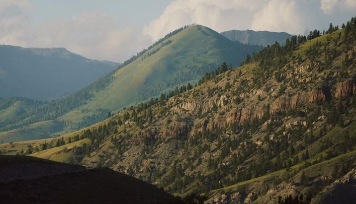 91d88dc0-c126-4241-a8e3-ad7f85f7c48d